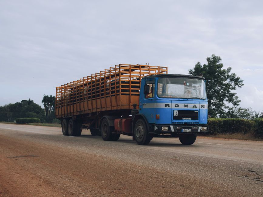 Local vs Long Distance Moves: What You Need to Know